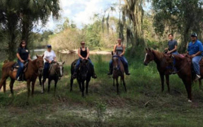 Horseback Trail Etiquette for First-Time Riders