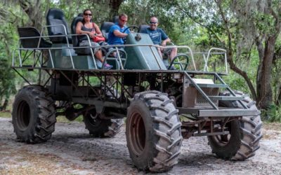 Take a Ride on the Wild Side With a Swamp Buggy Tour