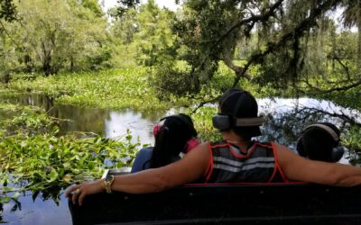Rise and Ride: Why Mornings Are the Best Time for Your Airboat Tour