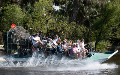 Design Your Dream Adventure on the River With Peace River Charters
