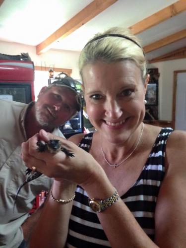 Airboat tour rides Florida alligators2